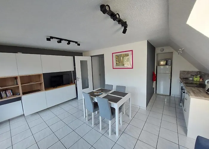 Appartement T2 45M² Avec Terrasse - 4/6 Personnes